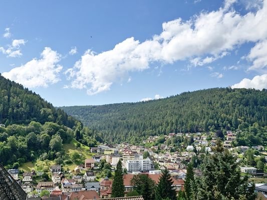 Ausblick vom Balkon