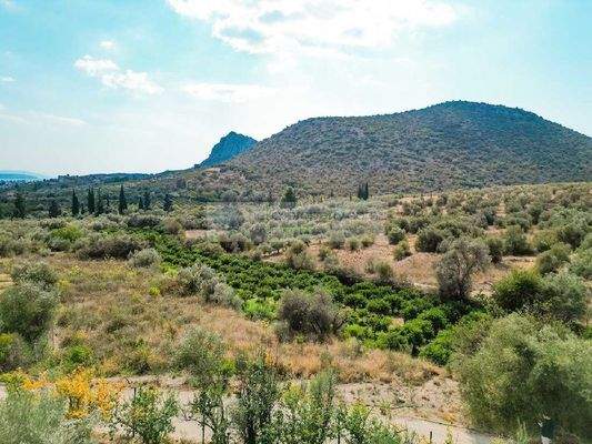 826bd04903ef4f96ae204f25c419783e-original