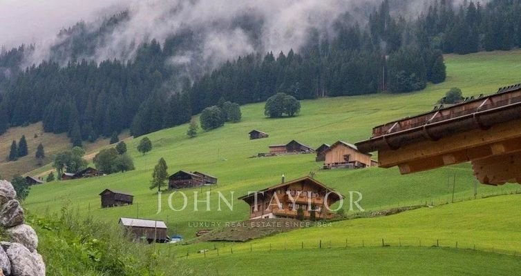 Mountains