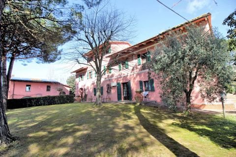 pisa Häuser, pisa Haus kaufen