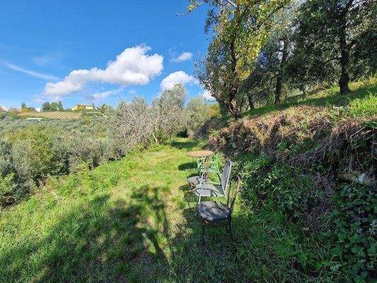 94LAzienda_ agricola_Toskana.jpg