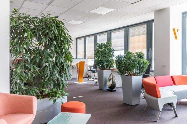 Vorderer Flächenteil Ansicht 2 6.OG