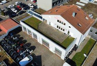 dji_fly_20250319_094924_341_1742374195988_photo_optimized