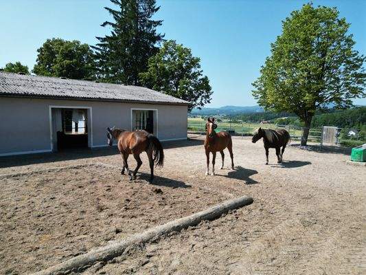 Außenbereich vorm Offenstall