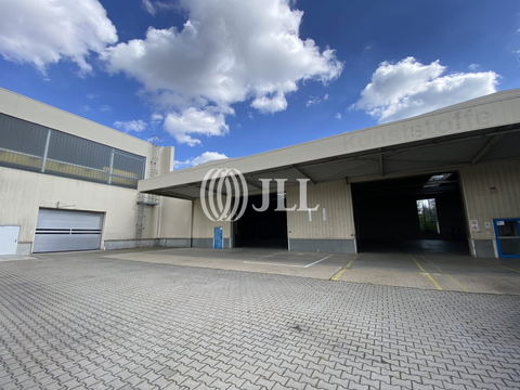 Leipzig Halle, Leipzig Hallenfläche