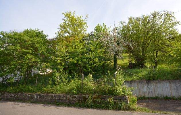 Ansicht Straßenseite