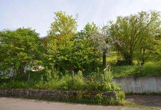 Ansicht Straßenseite