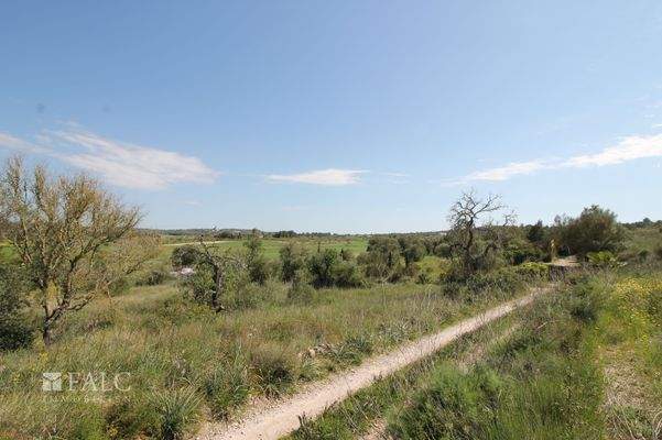 Baugrundstueck Porreres mit Weinberg 