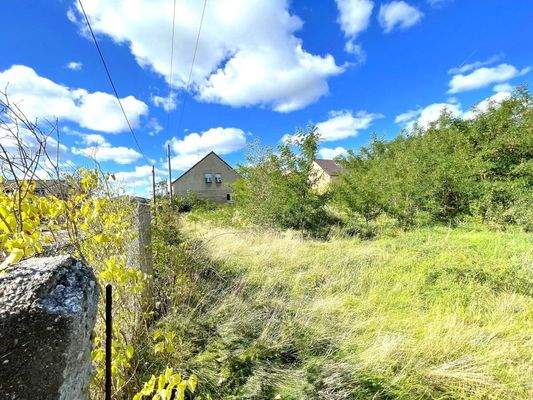 Blick aus dem Garten