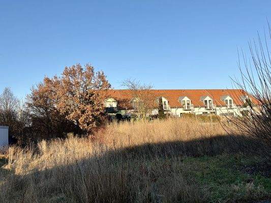 Grundstück Blickrichtung Norden