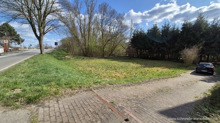 Blick auf den Garten