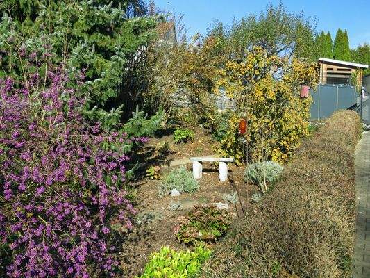 gepflegtes Grundstück