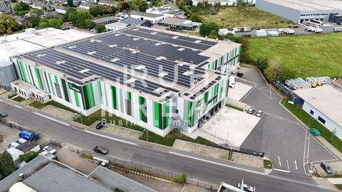 Krefeld Halle, Krefeld Hallenfläche