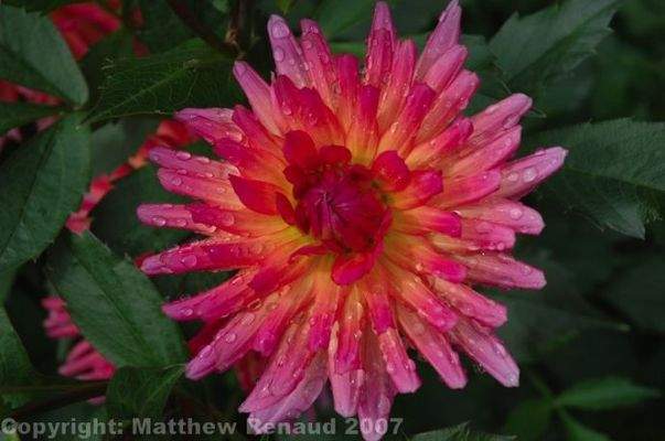 Bild 21