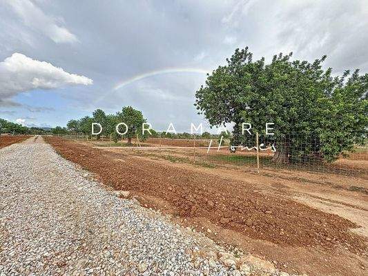 sa-comuna_00020_7bd49be