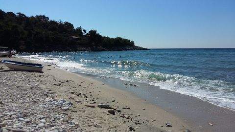 Thassos Bauernhöfe, Landwirtschaft, Thassos Forstwirtschaft