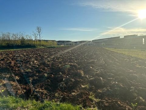 Umag Savudrija Grundstücke, Umag Savudrija Grundstück kaufen