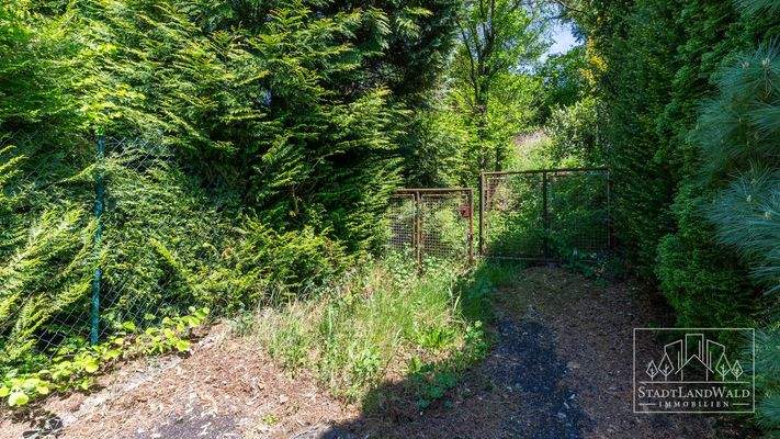 Straße - Schafalm - Einfahrt