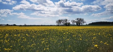 Löwenberger Land Grundstücke, Löwenberger Land Grundstück kaufen