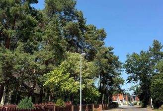 Waldstraße 
