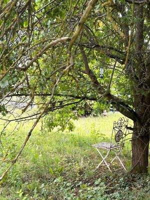 das könnte Ihr neuer Ruheplatz sein