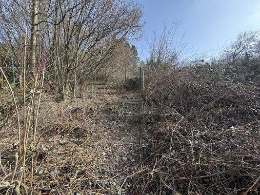 Grünland in Hanglage 