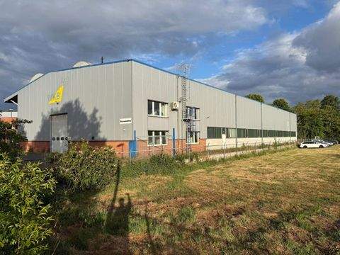 Hörstel Halle, Hörstel Hallenfläche