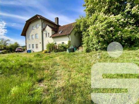 Reichenbach Häuser, Reichenbach Haus kaufen