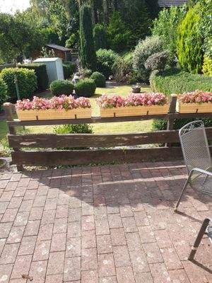 Blick von der Terrasse in den Garten.jpg