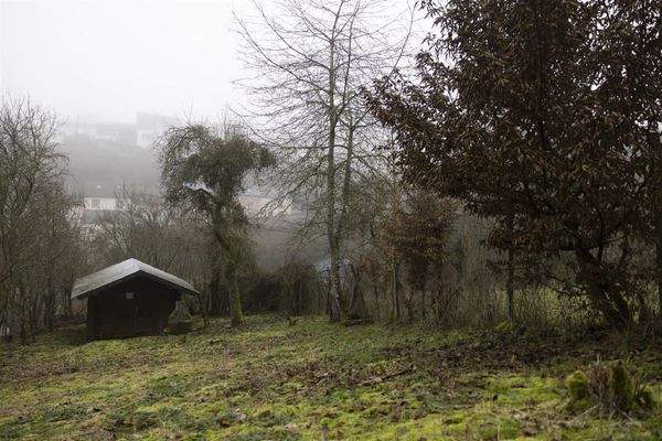 separates Wiesengrundstück mit Gartenhaus