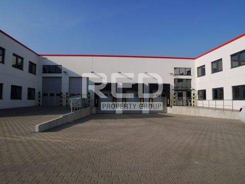 Düsseldorf Halle, Düsseldorf Hallenfläche