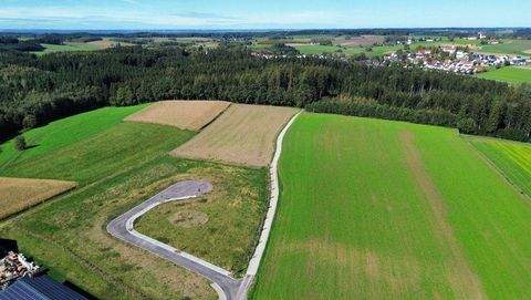 Inning am Holz Industrieflächen, Lagerflächen, Produktionshalle, Serviceflächen