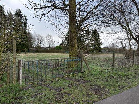 WhatsApp Image 2026-03-31 at 18.15.18 (5).jpeg