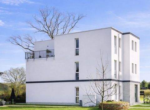 Briesen (Mark) Häuser, Briesen (Mark) Haus kaufen