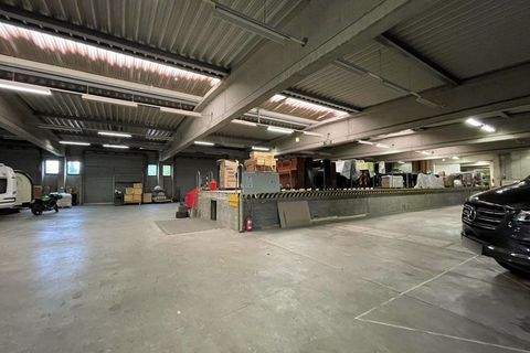 Braunschweig Halle, Braunschweig Hallenfläche