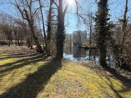 Die Grünanlage Praterweiher