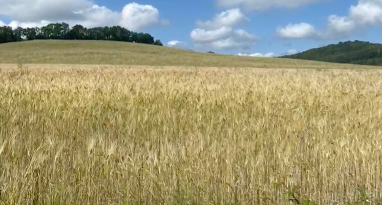 Screenshot 2025-10-20 alle 17.10.19.png