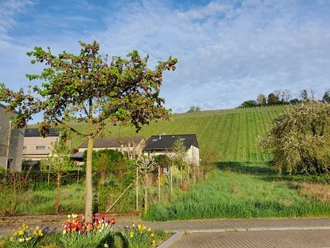 Bech-Kleinmacher Grundstücke, Bech-Kleinmacher Grundstück kaufen