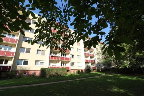 Halle (Saale) Wohnungen, Halle (Saale) Wohnung mieten