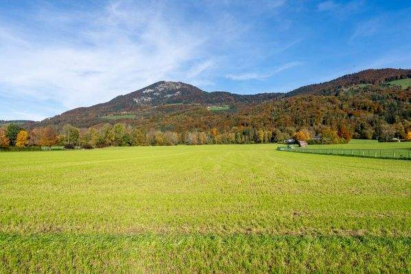 Wir freuen uns auf Ihren Anruf! 