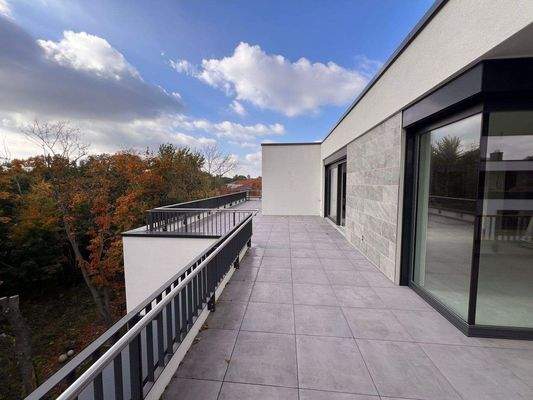 IMG_7543 2024-10-28 12_31_03.JPG