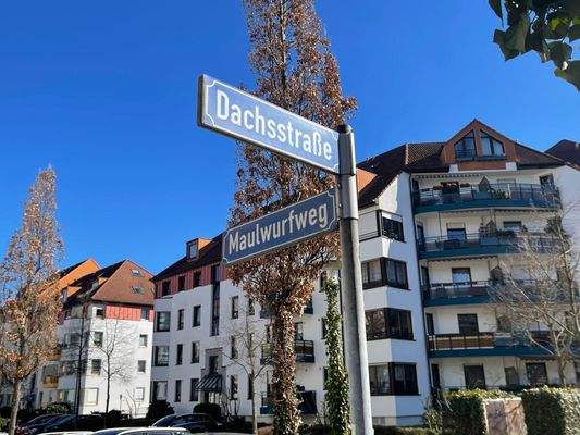 ae2aac7e-979a-4565-a52a-5de4546844fd