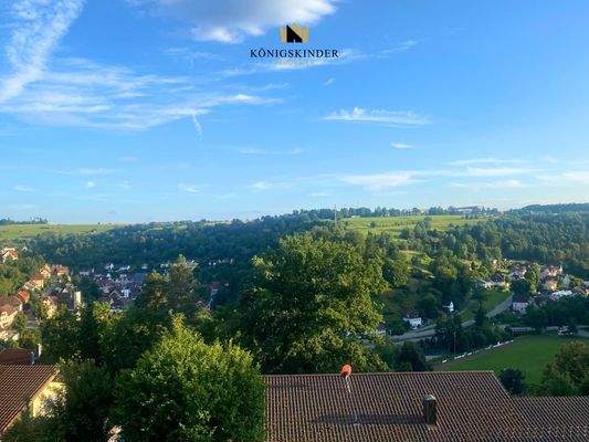 Blick über Altensteig