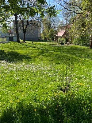 Garten vom Haus