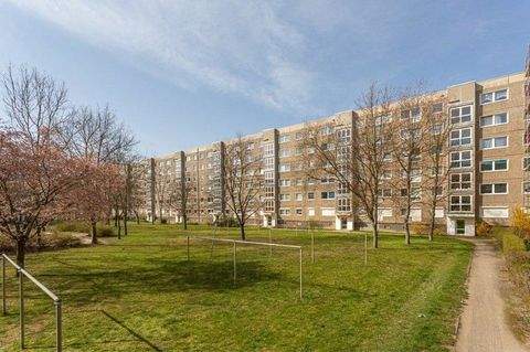 Dresden Wohnungen, Dresden Wohnung mieten