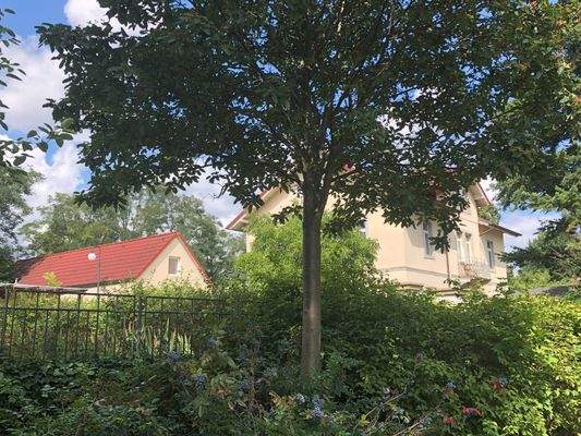 Haupt- und Nebengebäude.jpg