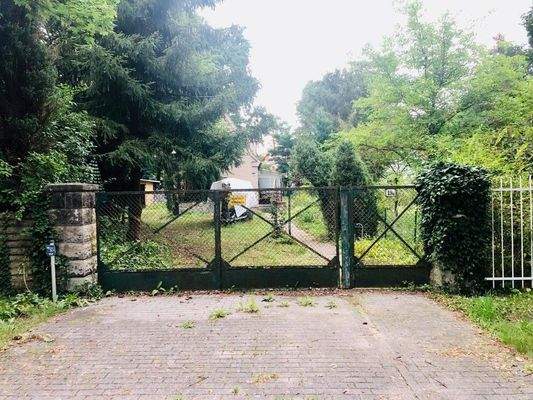 Blick aufs Grundstück