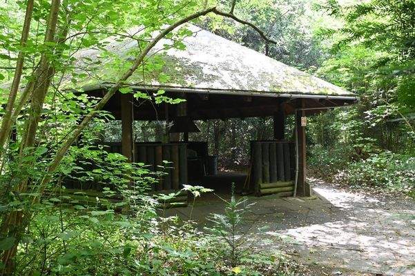 Gemeinschafts Grillplatz