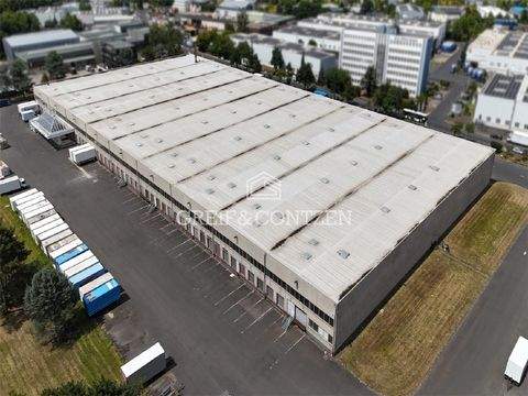Kerpen Halle, Kerpen Hallenfläche