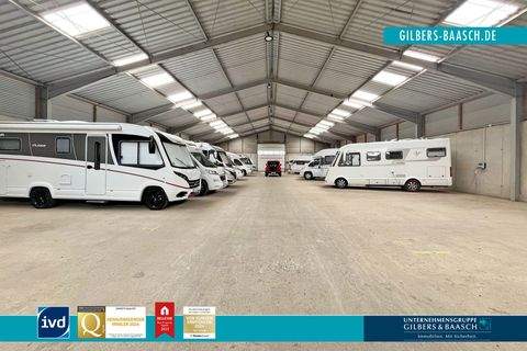 Trier Halle, Trier Hallenfläche